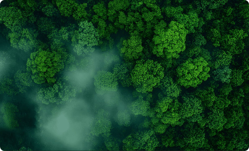 Committed to Environmental Protection