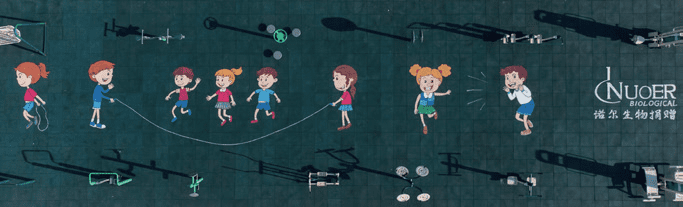 Nuoer Biology donates and constructs a new plastic playground at the Happiness Community III in Xianhe Town.