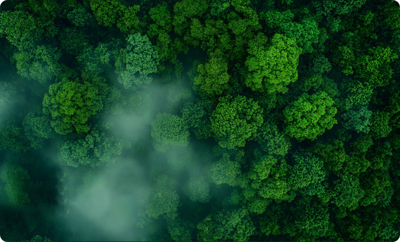 Committed to Environmental Protection